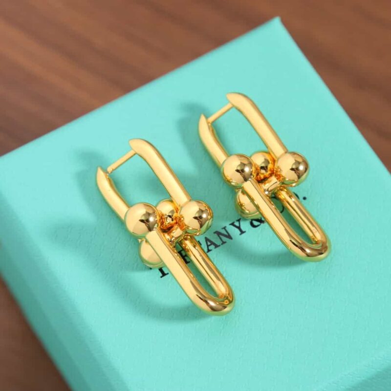 ☑️TIFFANY&Co.蒂芙尼Tiffany HardWear 系列双环马蹄扣耳钉耳环 - Image 11