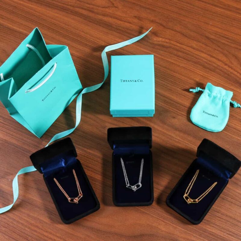 ☑️TIFFANY&Co.蒂芙尼Tiffany HardWear 系列双环马蹄扣项链 - Image 5