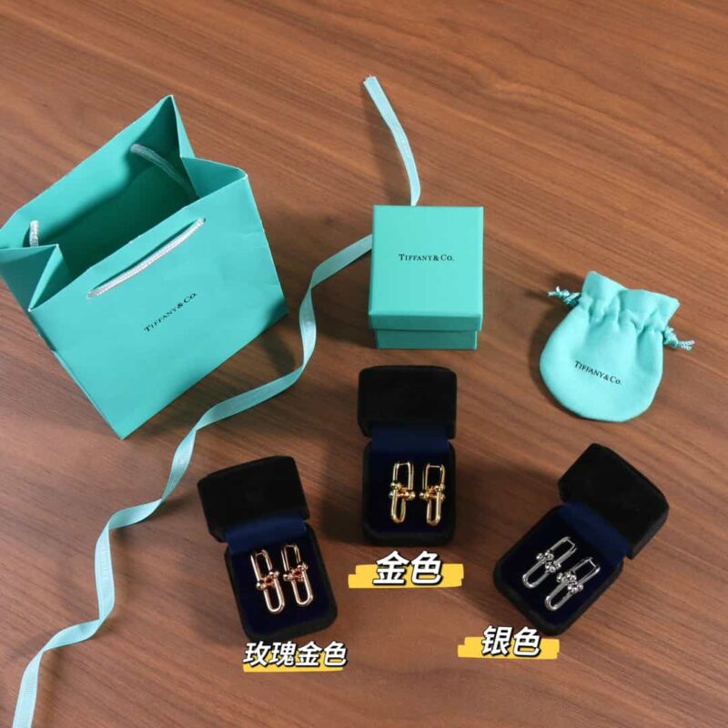 ☑️TIFFANY&Co.蒂芙尼Tiffany HardWear 系列双环马蹄扣项链 - Image 6