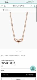 ☑️TIFFANY&Co.蒂芙尼Tiffany HardWear 系列双环马蹄扣项链