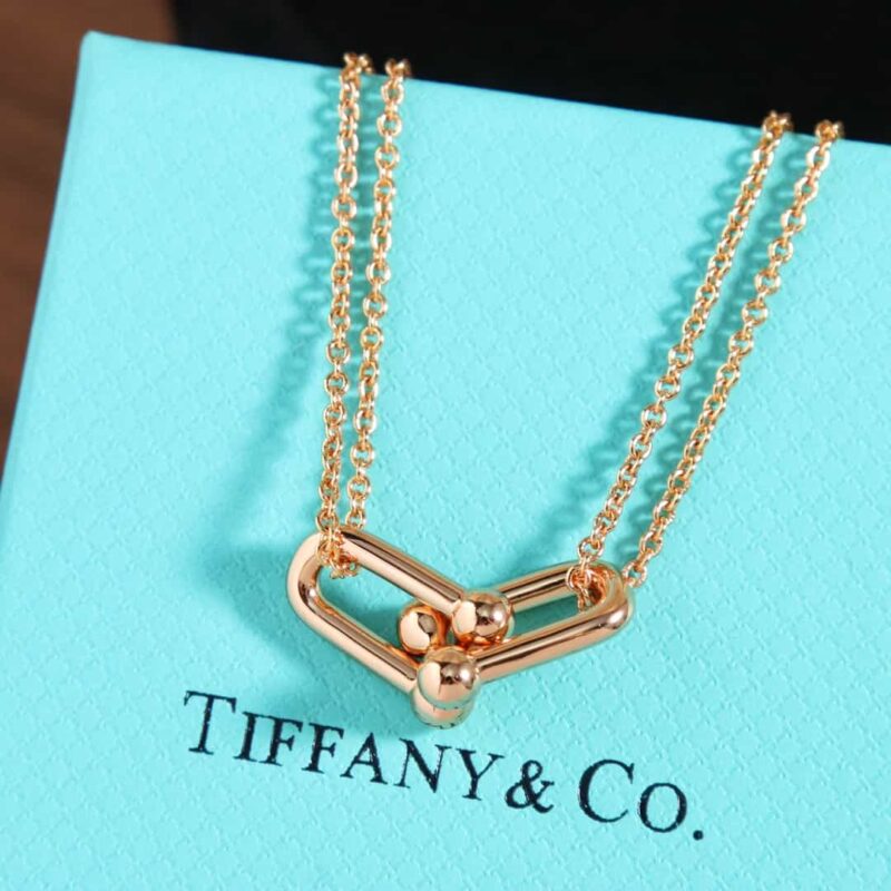 ☑️TIFFANY&Co.蒂芙尼Tiffany HardWear 系列双环马蹄扣项链 - Image 8