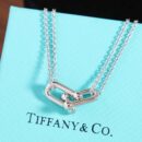 ☑️TIFFANY&Co.蒂芙尼Tiffany HardWear 系列双环马蹄扣项链
