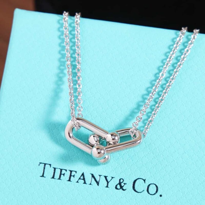 ☑️TIFFANY&Co.蒂芙尼Tiffany HardWear 系列双环马蹄扣项链 - Image 9