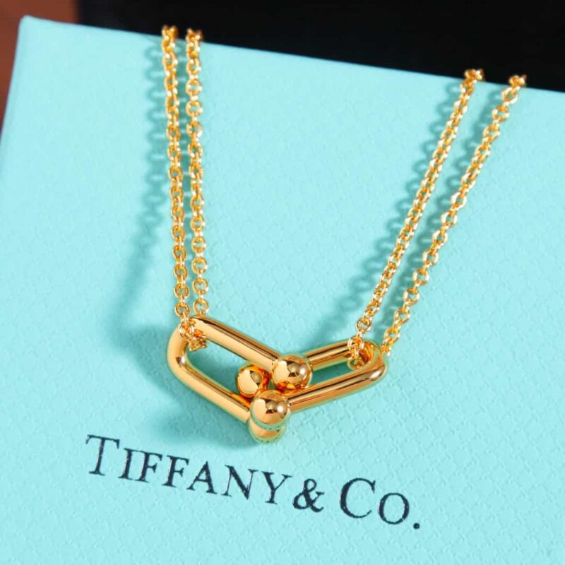 ☑️TIFFANY&Co.蒂芙尼Tiffany HardWear 系列双环马蹄扣项链 - Image 10