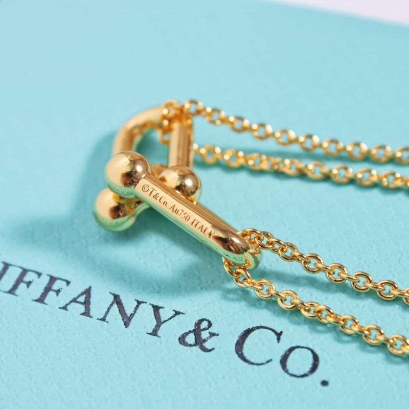 ☑️TIFFANY&Co.蒂芙尼Tiffany HardWear 系列双环马蹄扣项链 - Image 12