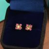 wsxc1693061275962_5-1.jpg ☑️TIFFANY&Co.蒂芙尼分色交叉耳钉耳环