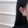 ☑️DIOR迪奥Dior 流苏 耳环耳钉