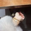 wsxc1727100870843_16.jpg CNC版本 ☀️Van Cleef &Arpels 梵克雅宝粉贝母四叶草五花手链 ☀
