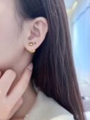 ☑️DIOR迪奥圆形字母耳钉耳环