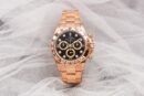 ROLEX 劳力士 迪通拿 DAYTONA 116505-0015