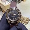 IC0017179_220614190120178_iOS.jpg OMEGA 欧米茄 海马系列 SEAMASTER 234.92.41.21.10.001