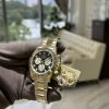 ROLEX 劳力士 迪通拿 DAYTONA 126508-0003 镶钻亮黑色 黑武士 金眼睛 G BLACK