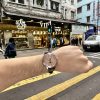 PATEK PHILIPPE 百达翡丽 超级复杂功能时计系列 GRAND COMPLICATIONS 5320G-011