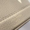 LV NANO NOé