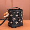 LV NANO NOé