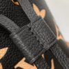 LV NANO NOé