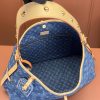 LV CARRYALL 中号