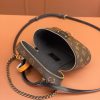 202411201224101732076650850O77Pn.jpg LV VANITY CHAIN POUCH