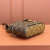 202411201224111732076651476Fuql9.jpg LV VANITY CHAIN POUCH