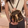 LV montsouris 双肩包