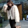 LV PAPILLON TRUNK